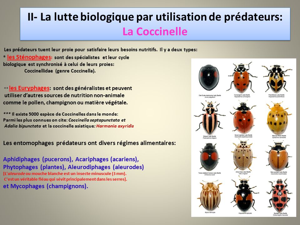 La lutte biologique par les entomophages ppt video online